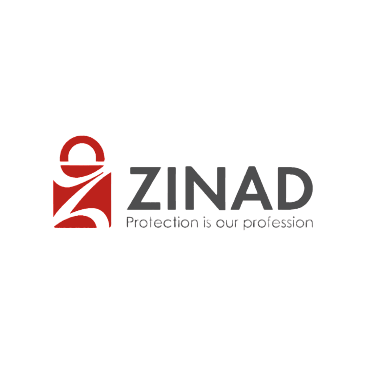 ZINAD IT